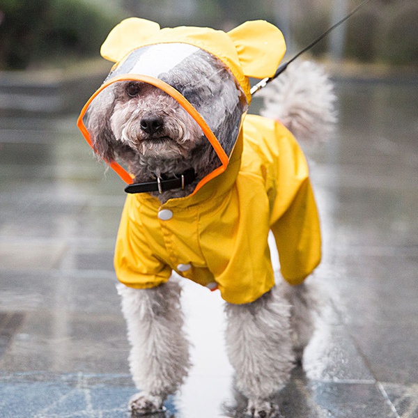 p-waterproof clothing10